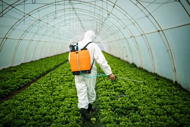 Best Affordable Pest Control Services  in Fairmont City, IL