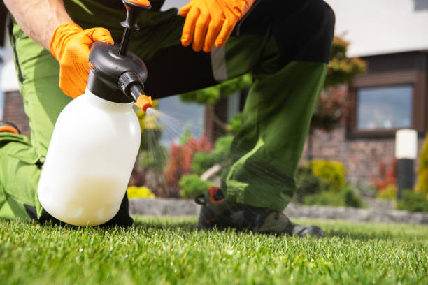 Professional Pest Control in Fairmont City, IL
