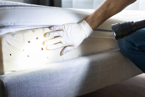 Best Best Pest Control Companies  in Fairmont City, IL
