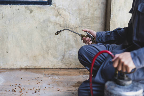 Best Rat Extermination Near Me  in Fairmont City, IL
